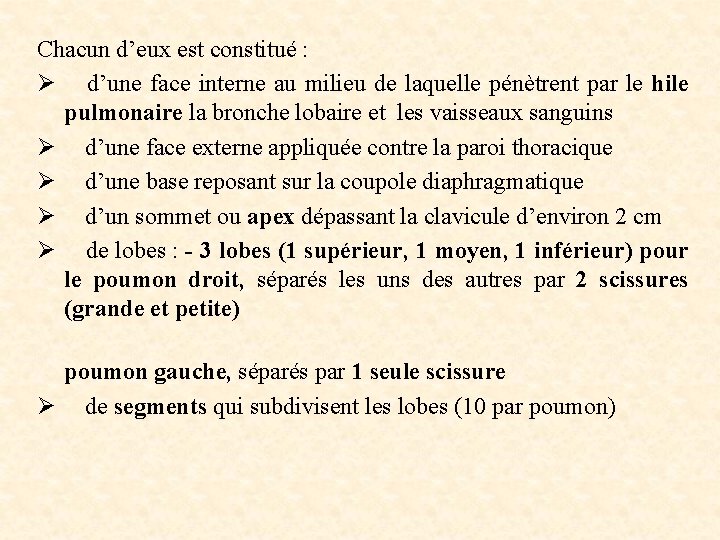 Chacun d’eux est constitué : Ø d’une face interne au milieu de laquelle pénètrent