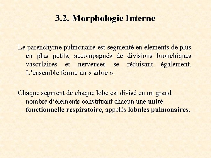 3. 2. Morphologie Interne Le parenchyme pulmonaire est segmenté en éléments de plus en