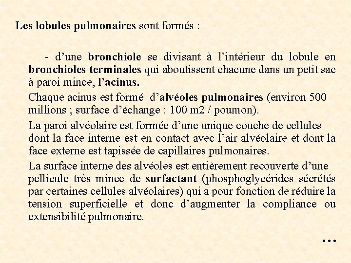 Les lobules pulmonaires sont formés : - d’une bronchiole se divisant à l’intérieur du