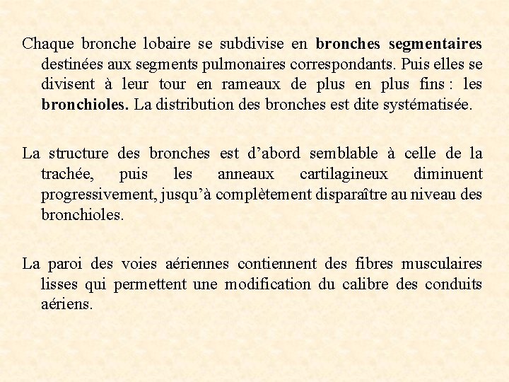 Chaque bronche lobaire se subdivise en bronches segmentaires destinées aux segments pulmonaires correspondants. Puis