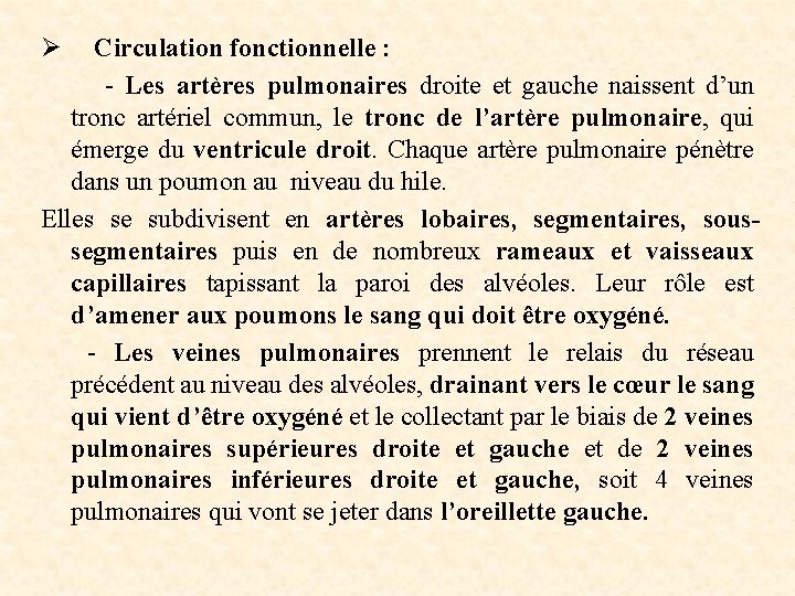 Ø Circulation fonctionnelle : - Les artères pulmonaires droite et gauche naissent d’un tronc