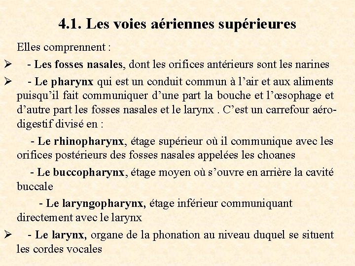 4. 1. Les voies aériennes supérieures Elles comprennent : Ø - Les fosses nasales,