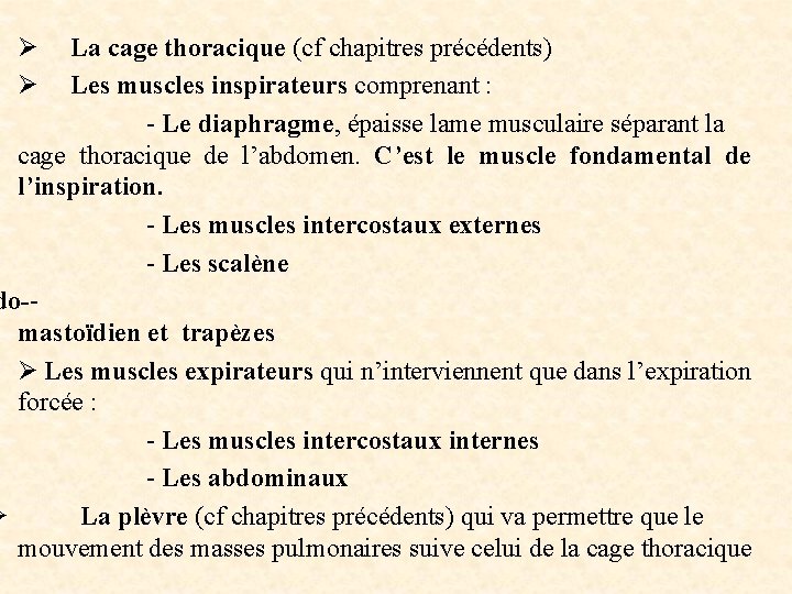 Ø La cage thoracique (cf chapitres précédents) Ø Les muscles inspirateurs comprenant : -