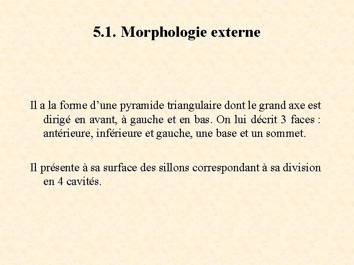 5. 1. Morphologie externe Il a la forme d’une pyramide triangulaire dont le grand