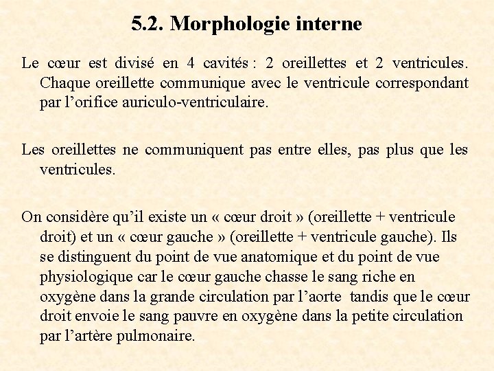 5. 2. Morphologie interne Le cœur est divisé en 4 cavités : 2 oreillettes