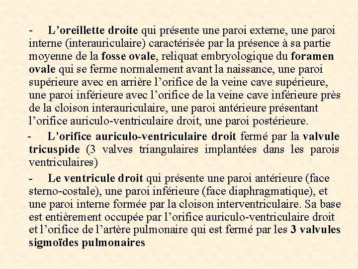 - L’oreillette droite qui présente une paroi externe, une paroi interne (interauriculaire) caractérisée par