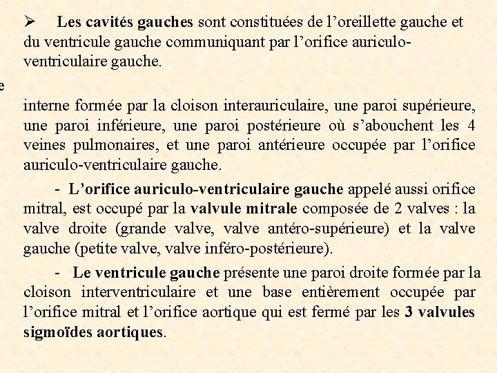 Ø Les cavités gauches sont constituées de l’oreillette gauche et du ventricule gauche communiquant