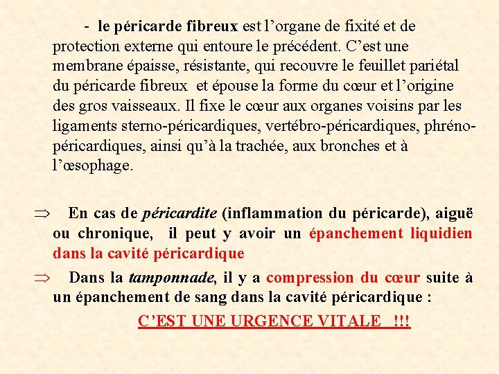  - le péricarde fibreux est l’organe de fixité et de protection externe qui