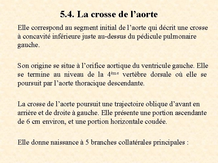 5. 4. La crosse de l’aorte Elle correspond au segment initial de l’aorte qui