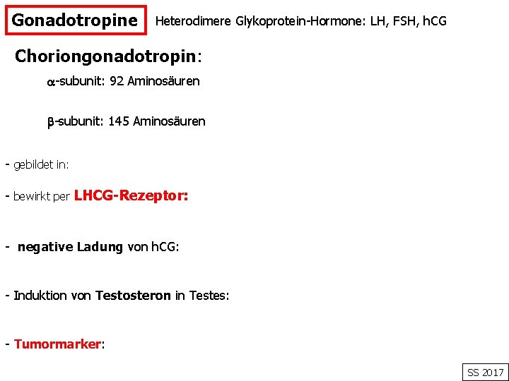 Gonadotropine Heterodimere Glykoprotein-Hormone: LH, FSH, h. CG Choriongonadotropin: -subunit: 92 Aminosäuren -subunit: 145 Aminosäuren
