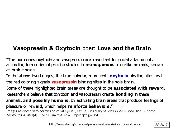 Vasopressin & Oxytocin oder: Love and the Brain “The hormones oxytocin and vasopressin are