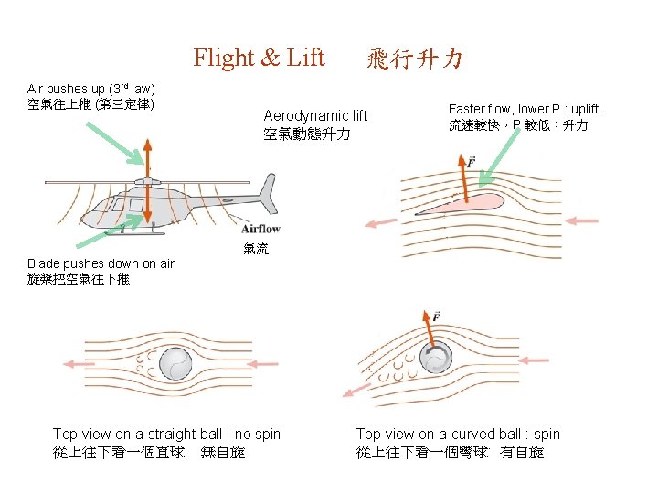 Flight & Lift Air pushes up (3 rd law) 空氣往上推 (第三定律) 飛行升力 Aerodynamic lift