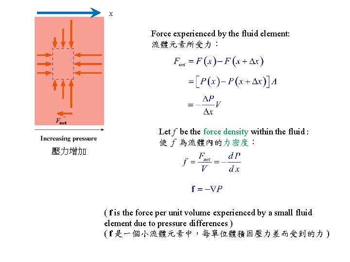 x Force experienced by the fluid element: 流體元素所受力： 壓力增加 Let f be the force