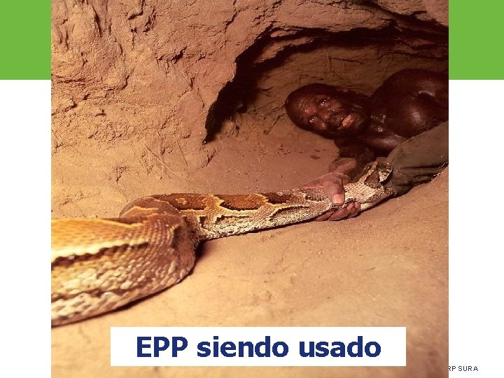 EPP siendo usado ARP SURA 