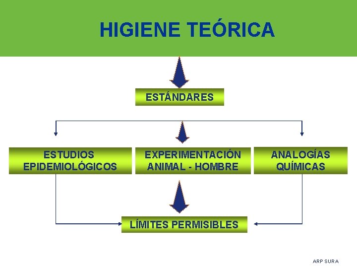 HIGIENE TEÓRICA ESTÁNDARES ESTUDIOS EPIDEMIOLÓGICOS EXPERIMENTACIÓN ANIMAL - HOMBRE ANALOGÍAS QUÍMICAS LÍMITES PERMISIBLES ARP