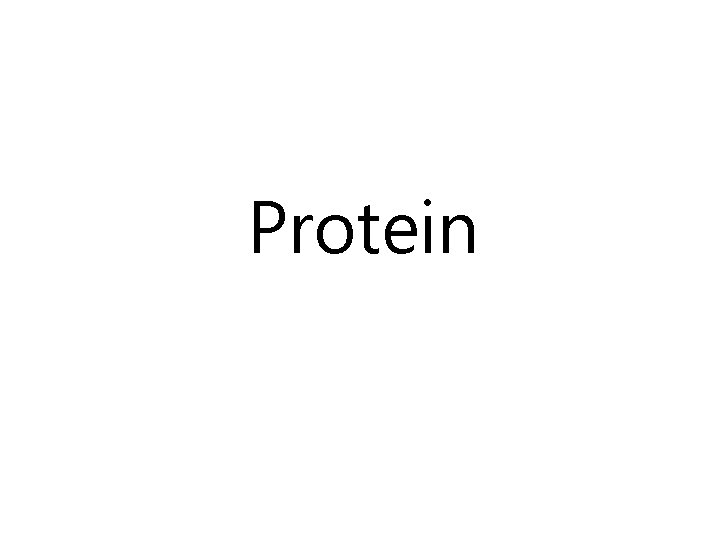 Protein 