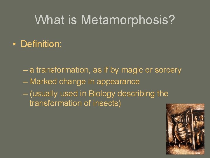 What is Metamorphosis? • Definition: – a transformation, as if by magic or sorcery