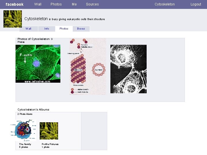 facebook Wall Photos Me Sources Cytoskeleton is busy giving eukaryotic cells their structure Wall