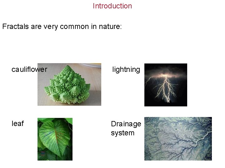 Introduction Fractals are very common in nature: cauliflower lightning leaf Drainage system 