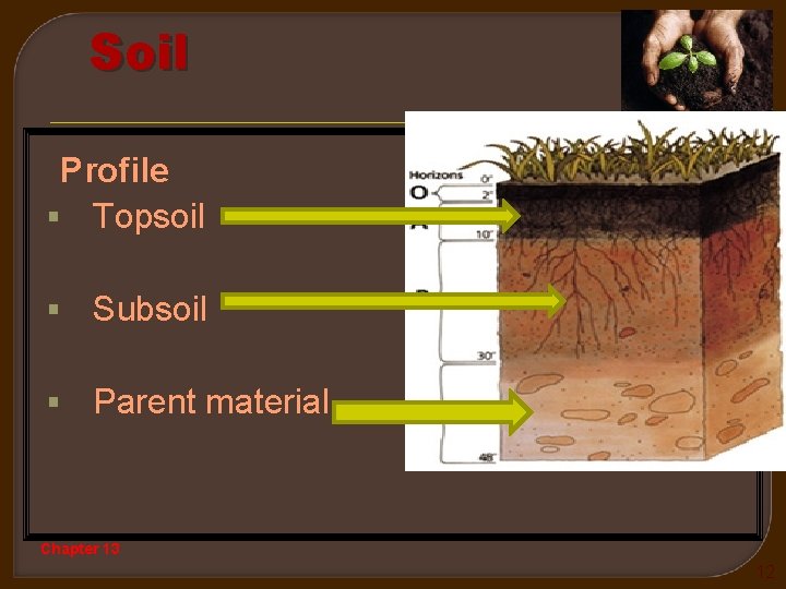 Soil Profile § Topsoil § Subsoil § Parent material Chapter 13 12 