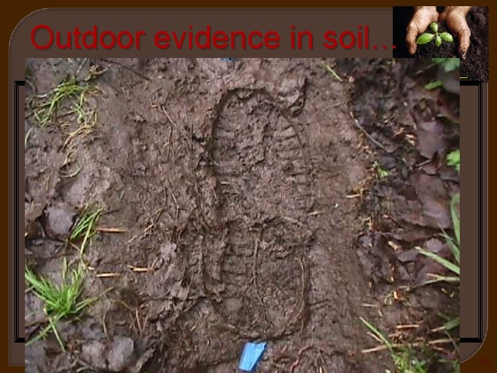 Outdoor evidence in soil… Chapter 13 Kendall/Hunt Publishing Company 16 