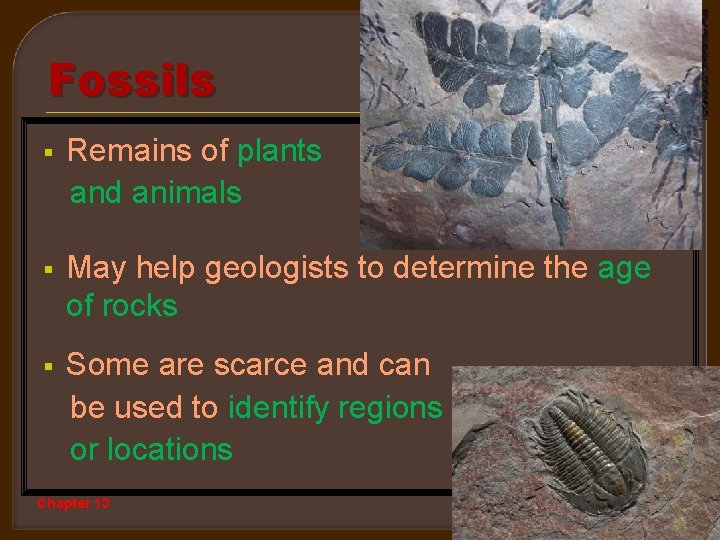 Fossils Remains of plants and animals § § May help geologists to determine the