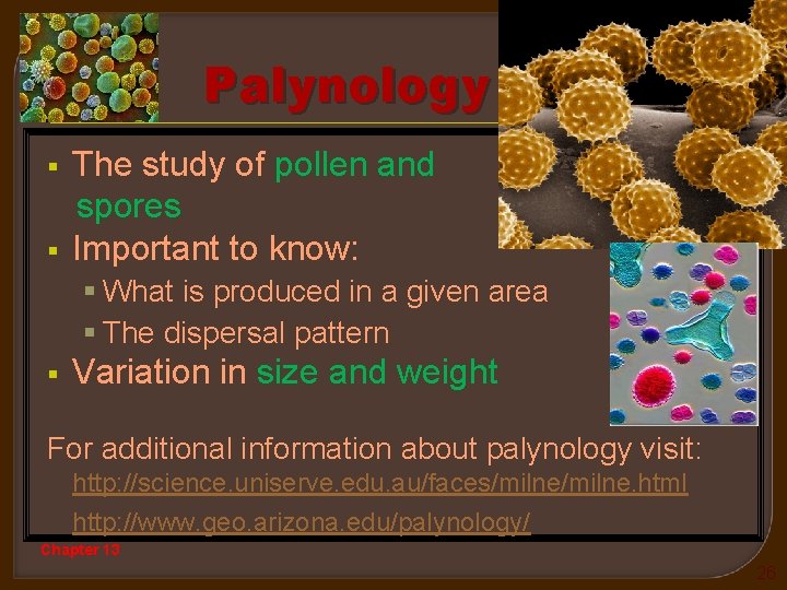 Palynology The study of pollen and spores § Important to know: § § What