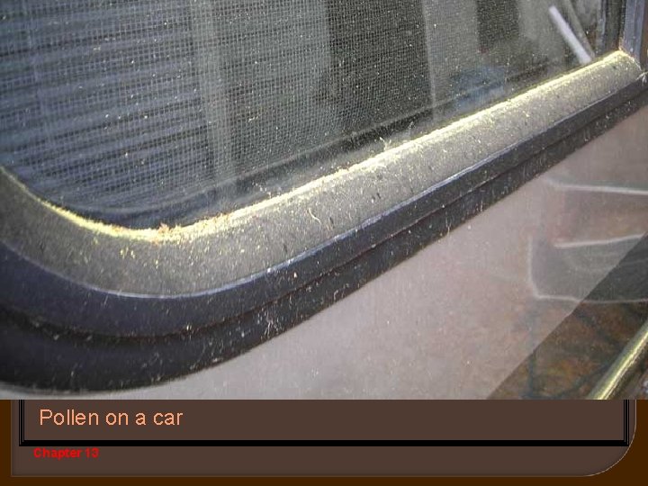 Pollen on a car Chapter 13 