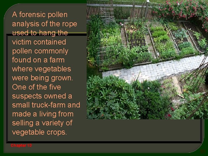 A forensic pollen analysis of the rope used to hang the victim contained pollen