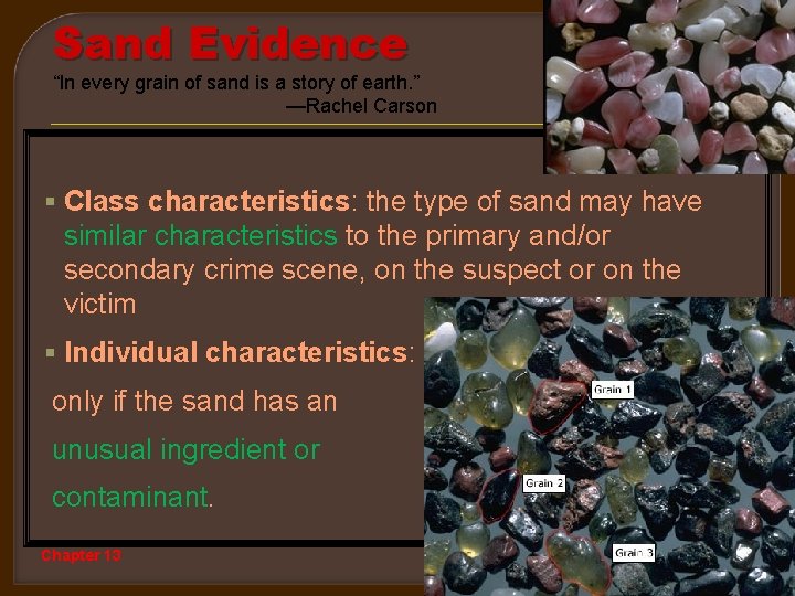 Sand Evidence “In every grain of sand is a story of earth. ” —Rachel