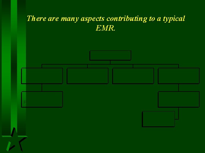 There are many aspects contributing to a typical EMR. 