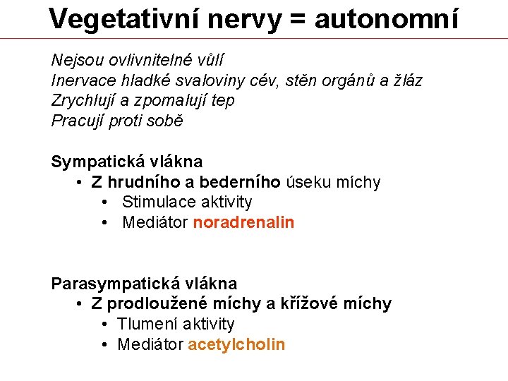 Vegetativní nervy = autonomní Nejsou ovlivnitelné vůlí Inervace hladké svaloviny cév, stěn orgánů a