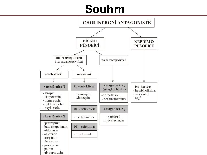 Souhrn (podle Geršl V, Štěrba M: Farmakologie pro farmaceuty II. , 2007. ) 