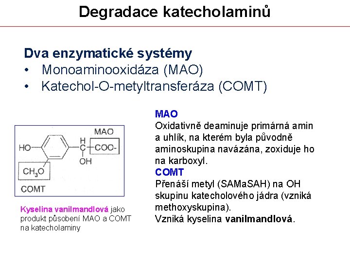 Degradace katecholaminů Dva enzymatické systémy • Monoaminooxidáza (MAO) • Katechol-O-metyltransferáza (COMT) Kyselina vanilmandlová jako
