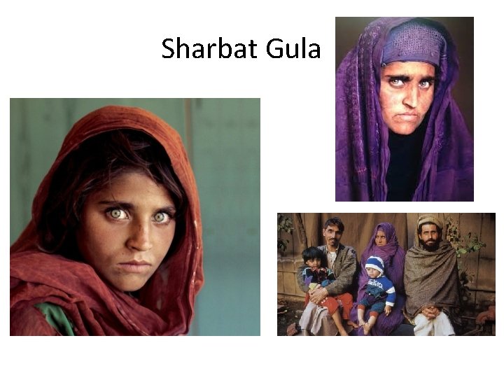 Sharbat Gula Sharbat Gula