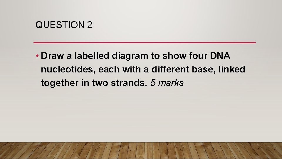 QUESTION 2 • Draw a labelled diagram to show four DNA nucleotides, each with