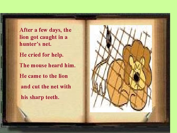 After a few days, the lion got caught in a hunter’s net. He cried