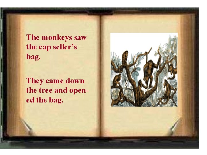 The monkeys saw the cap seller’s bag. They came down the tree and opened