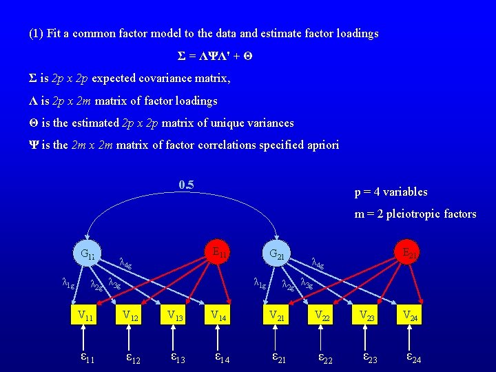 (1) Fit a common factor model to the data and estimate factor loadings Σ