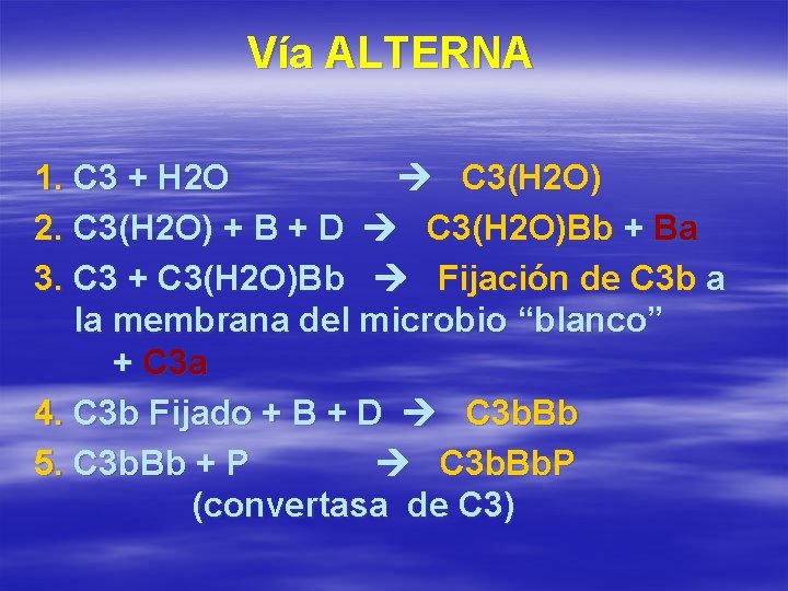 Vía ALTERNA 1. C 3 + H 2 O C 3(H 2 O) 2.
