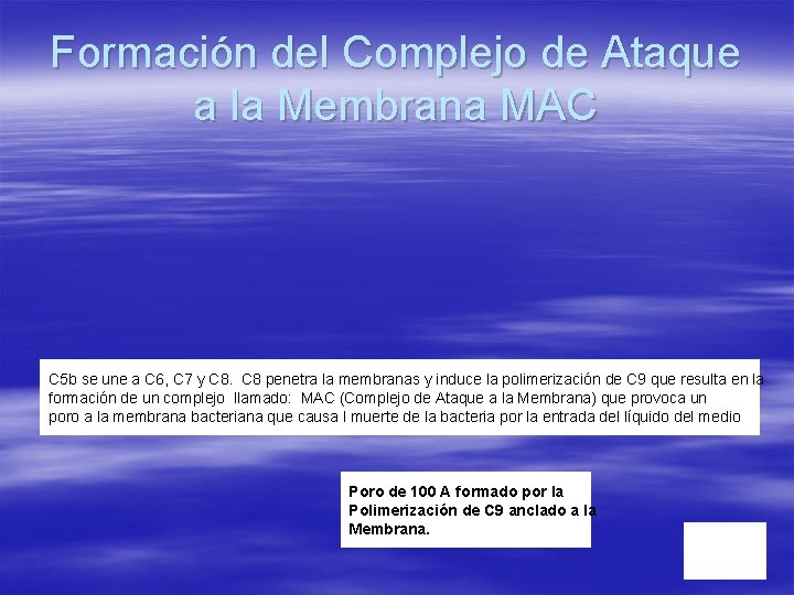 Formación del Complejo de Ataque a la Membrana MAC C 5 b se une