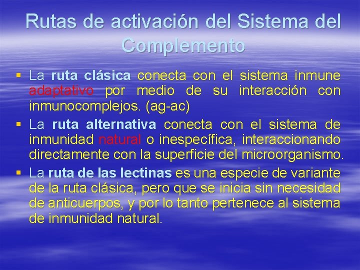 Rutas de activación del Sistema del Complemento § La ruta clásica conecta con el
