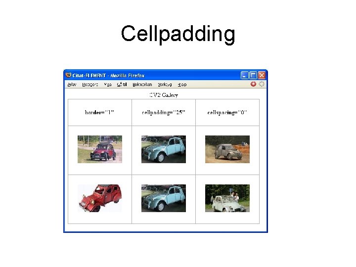 Cellpadding 