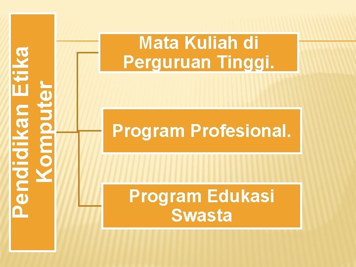 Pendidikan Etika Komputer Mata Kuliah di Perguruan Tinggi. Program Profesional. Program Edukasi Swasta 