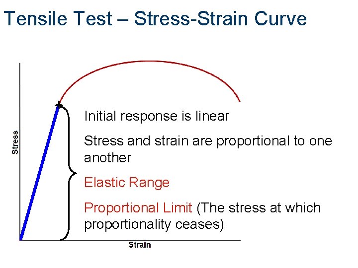 Tensile Test – Stress-Strain Curve Initial response is linear Stress and strain are proportional