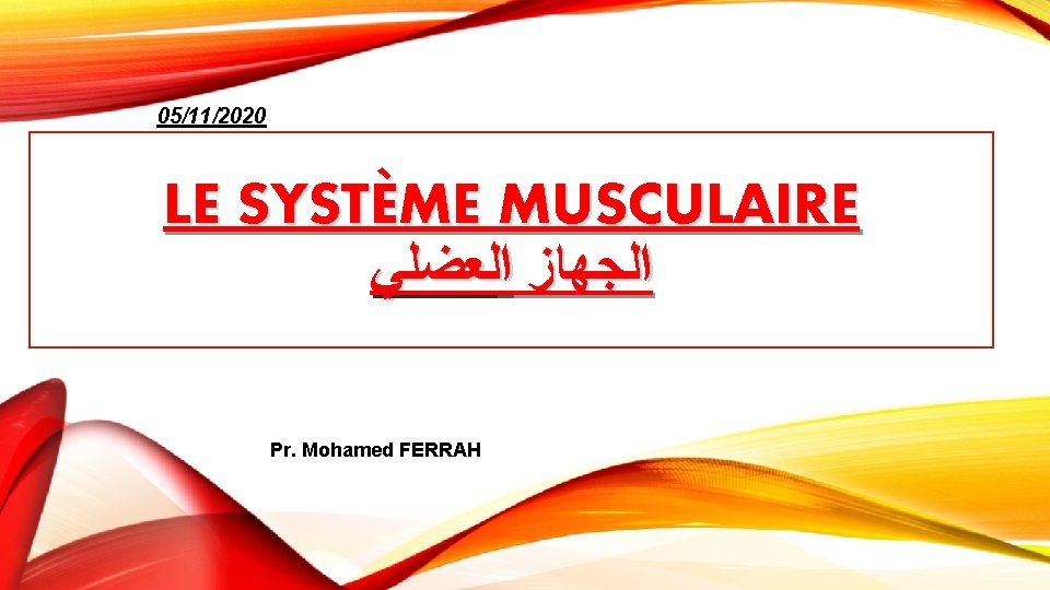 05/11/2020 LE SYSTÈME MUSCULAIRE ﺍﻟﺠﻬﺎﺯ ﺍﻟﻌﻀﻠﻲ Pr. Mohamed FERRAH 