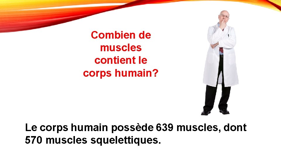 Combien de muscles contient le corps humain? Le corps humain possède 639 muscles, dont