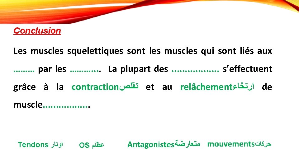 Conclusion Les muscles squelettiques sont les muscles qui sont liés aux ……… par les