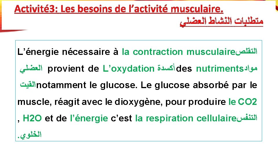 Activité 3: Les besoins de l’activité musculaire. ﺍﻟﻌﻀﻠﻲ ﺍﻟﻨﺸﺎﻁ ﻣﺘﻄﻠﺒﺎﺕ L’énergie nécessaire à la