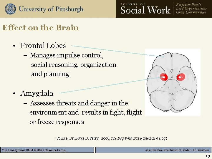 Effect on the Brain • Frontal Lobes – Manages impulse control, social reasoning, organization